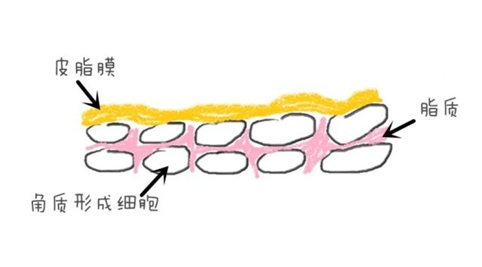 如图片无法显示，请刷新页面