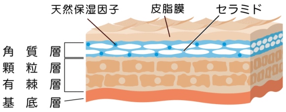 如图片无法显示，请刷新页面